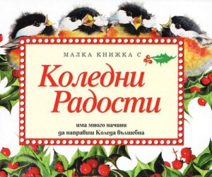 Малка книжка с Коледни радости