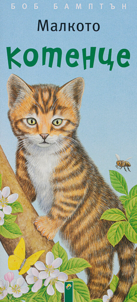 Малкото котенце