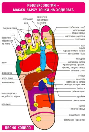 Мини табло: Рефлексология - масаж върху точки на стъпалата