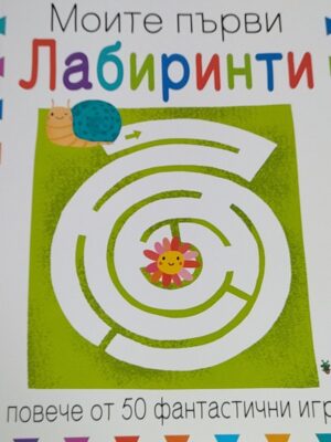 Моите първи лабиринти