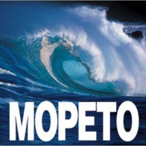 Морето (твърди корици)