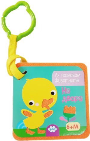 На двора! Аз познавам животните!