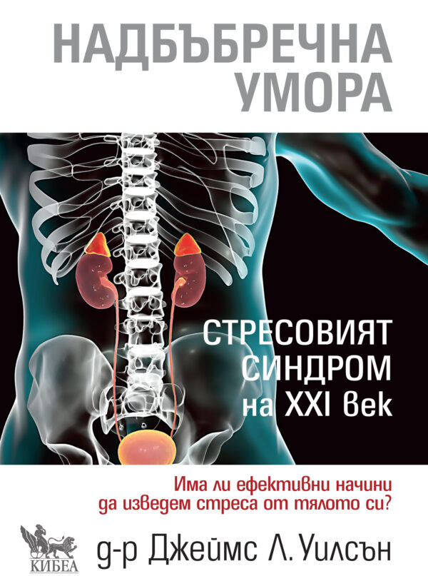 Надбъбречна умора. Стресовият синдром на ХХI век