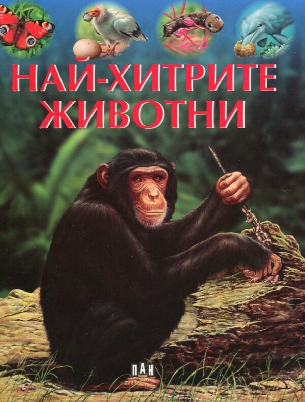 Най-хитрите животни