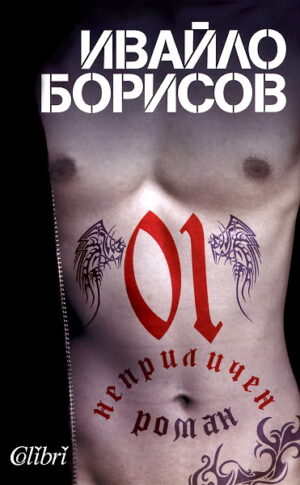 01. Неприличен роман