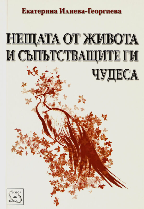 Нещата от живота и съпътстващите ги чудеса