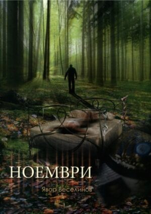 Ноември (Явор Веселинов)