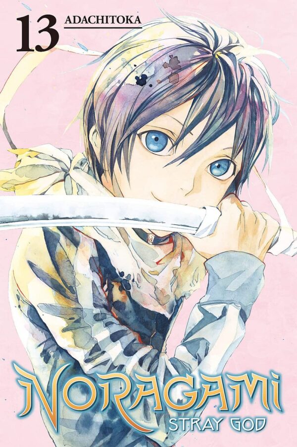 Noragami Stray God, Vol. 13: Playing with Fire