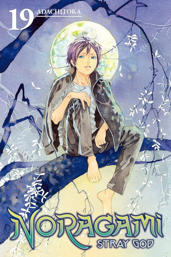 Noragami Stray God, Vol. 19: Lives on the Line, Part 2