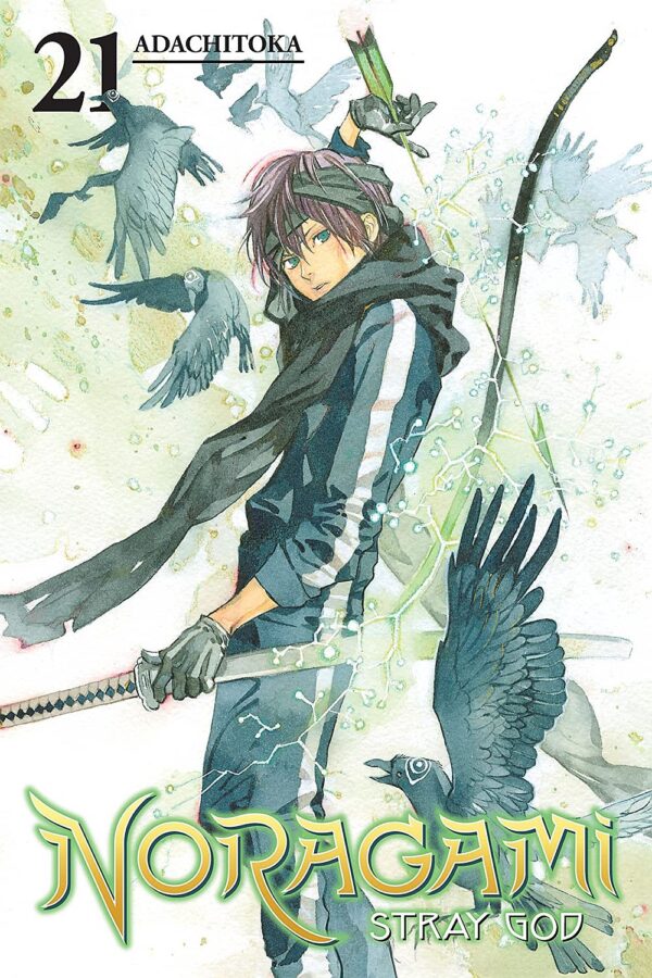 Noragami Stray God, Vol. 21: Curiosity Kills