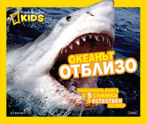 Океанът отблизо