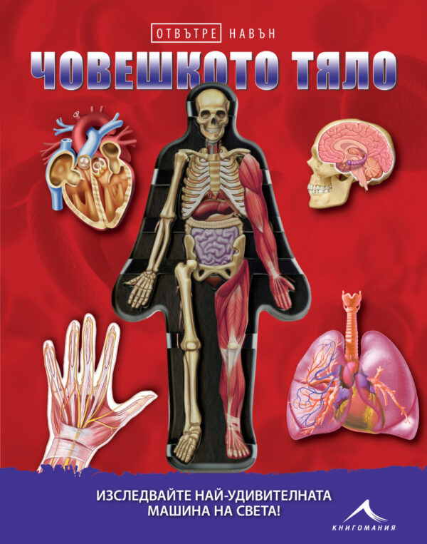 Отвътре навън: Човешкото тяло