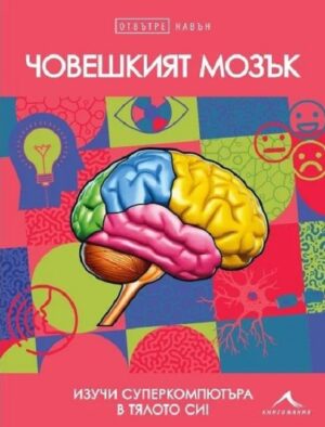Отвътре навън: Човешкият мозък