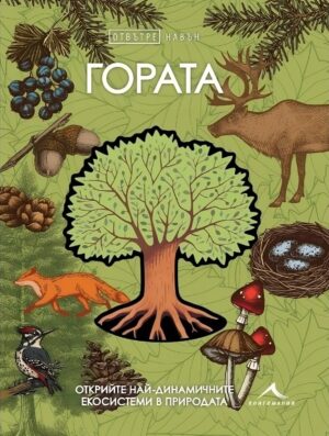 Отвътре навън: Гората