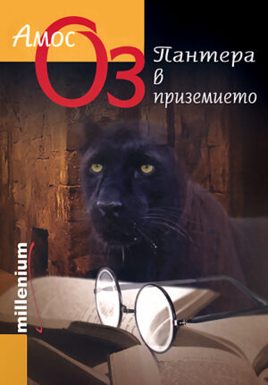 Пантера в приземие