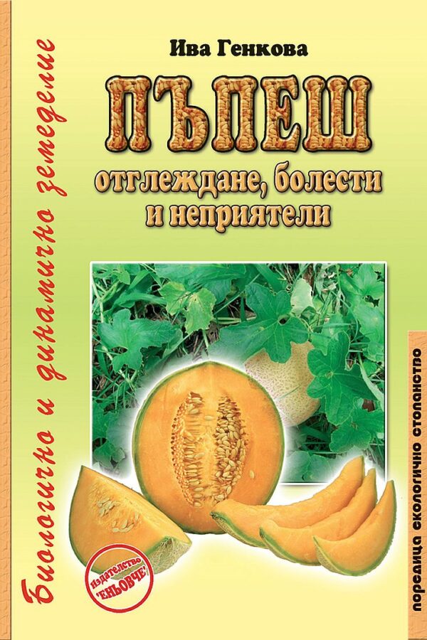 Пъпеш: отглеждане, болести и неприятели