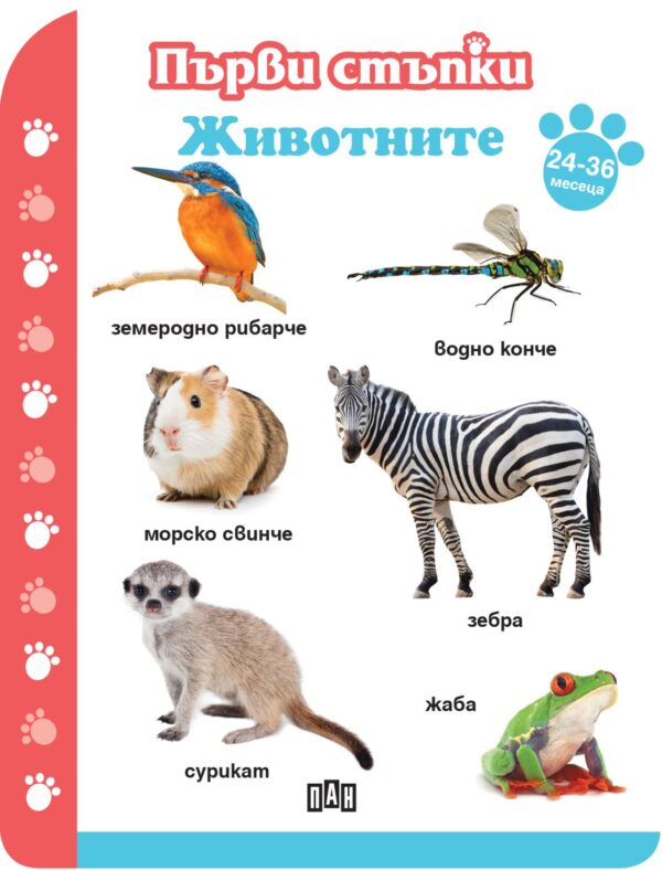 Първи стъпки: Животните (24-36 месеца)