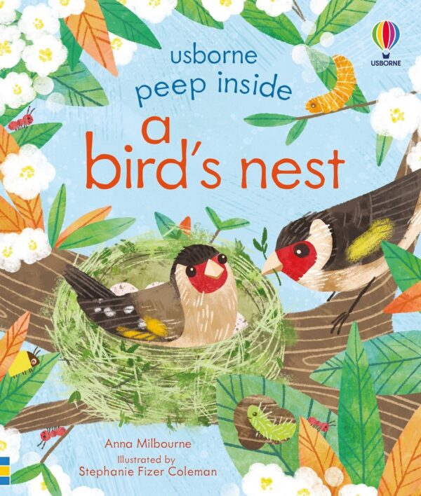 Peep Inside: A Bird's Nest