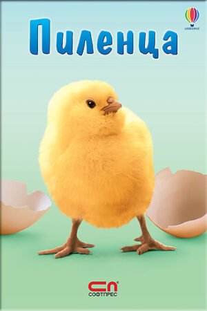 Пиленца: Малък Знайко