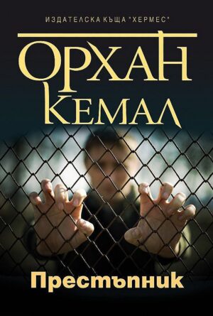 Престъпник (Възмездието 1)