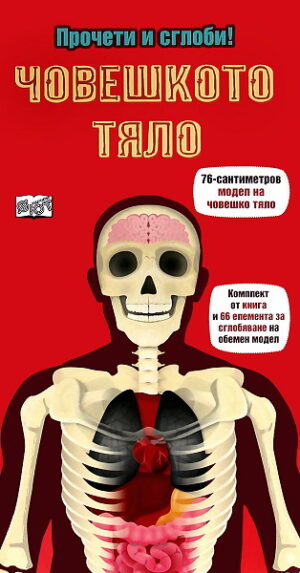 Прочети и сглоби!: Човешкото тяло