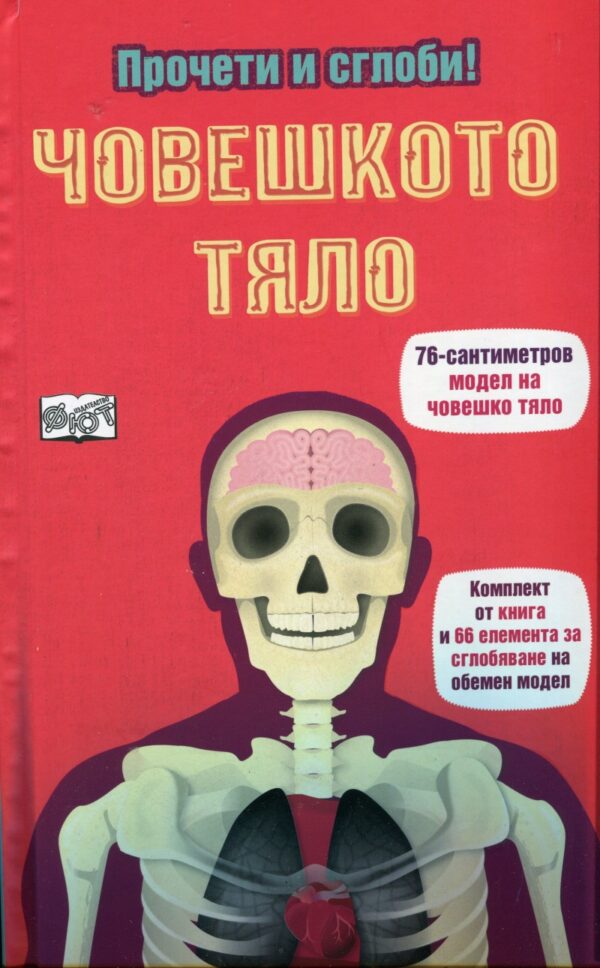 Човешкото тяло (Прочети и сглоби!)