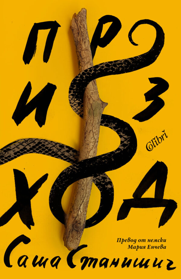 Произход (Саша Станишич)