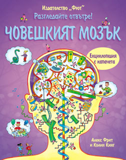 Разгледайте отвътре!: Човешкият мозък