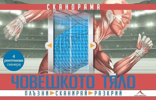 Сканорама: Човешкото тяло