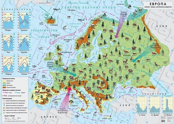 Стенна карта - Европа: Климат, води, растения и животни, 140/100 cm (М 1: 5 000 000) - Датамап