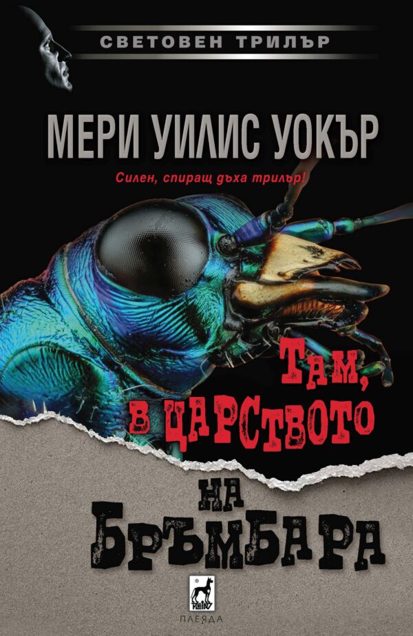 Там, в царството на бръмбара