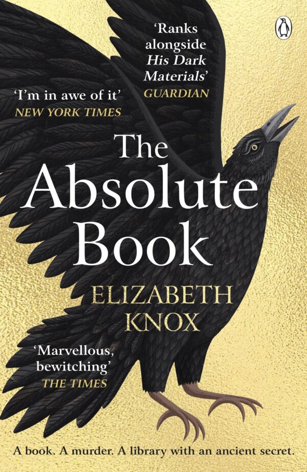 The Absolute Book (Paperback)