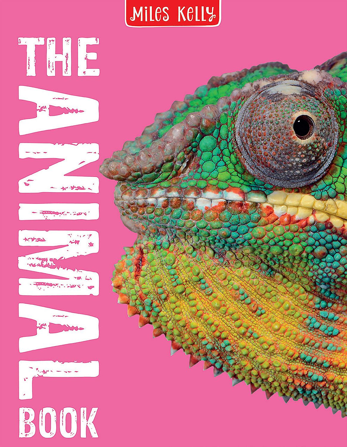 The Animal Book: 160 Pages Packed Full of Amazing Photos and Fantastic Facts (Miles Kelly)