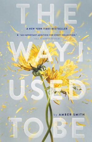 The Way I Used to Be (Simon & Schuster)