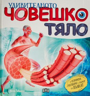 Удивителното човешко тяло (Пан)