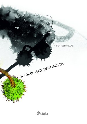 В съня над пропастта