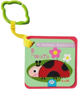 В гората! Аз познавам животните!