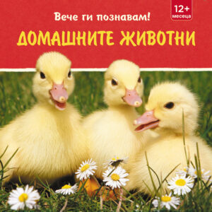 Вече ги познавам!: Домашните животни (12+ месеца)
