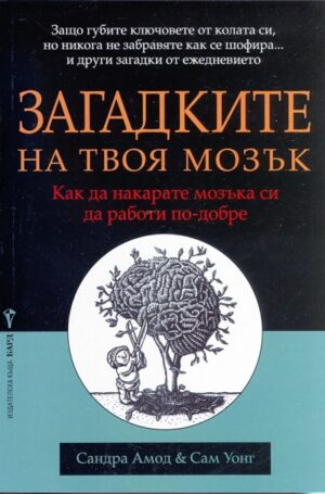 Загадките на твоя мозък
