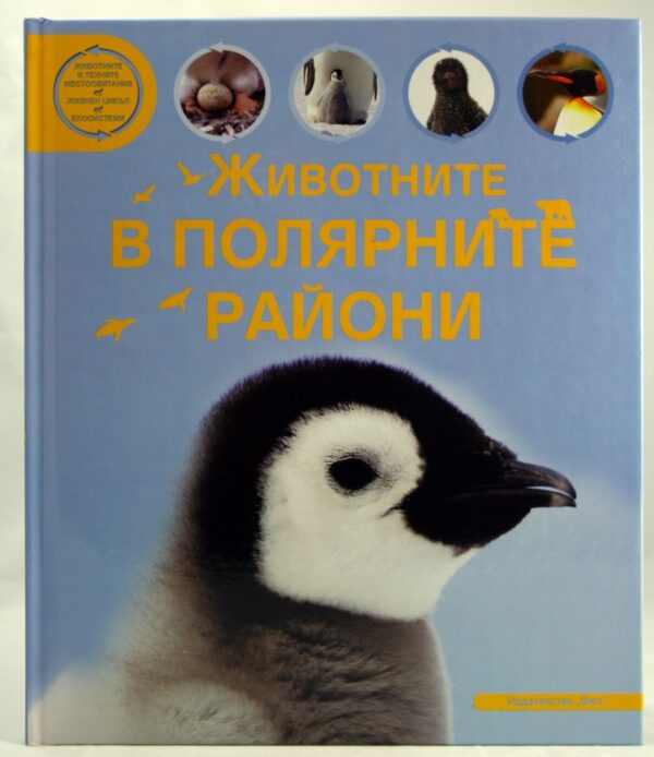 Животните в полярните райони