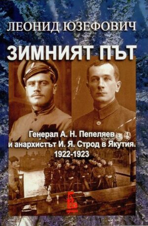 Зимният път