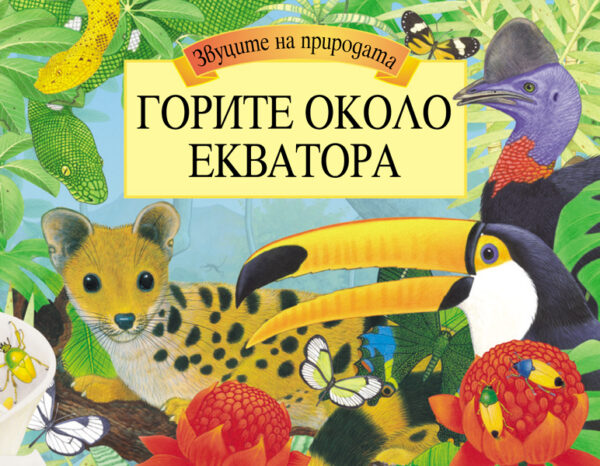 Звуците на природата: Горите около екватора