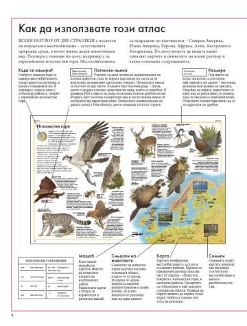 Атлас на животните по света - Image 2