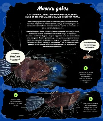 Вечният кръговрат на МАЙКАТА ПРИРОДА. 48 истории за жизнени цикли от цял свят - Image 4