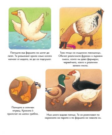 Енциклопедия за най-малките. Животните от фермата - Image 3