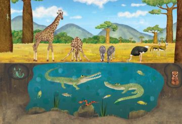 ОТГОРЕ и ОТДОЛУ: Животните над и под повърхността на земята и водата - Image 4