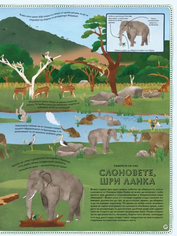 АТЛАС: Животни от цял свят - Image 3