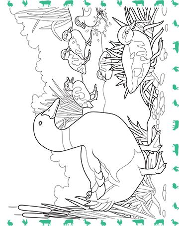 Забавлявам се и развивам уменията си. На двора - Image 3