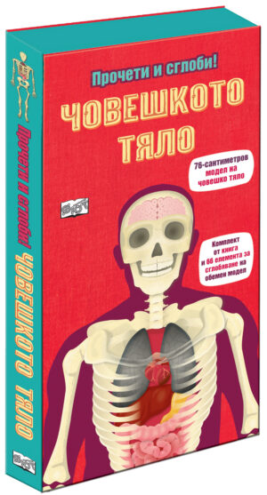 Човешкото тяло - прочети и сглоби! 76 сантиметра