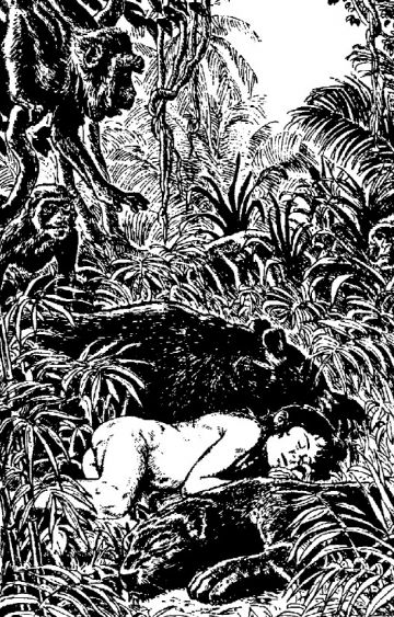 Книга за джунглата - Image 3